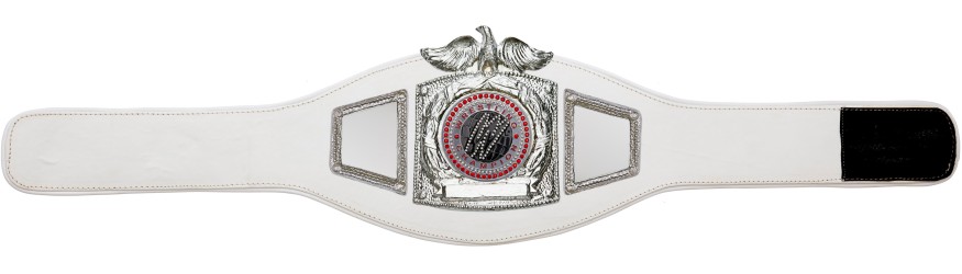 PROEAGLE WRESTLING CHAMPIONSHIP BELT - PROEAGLE/S/WRESTGEMS - AVAILABLE IN 6+ COLOURS PROEAGLE WRESTLING CHAMPIONSHIP BELT - PROEAGLE/S/WRESTGEMS - AVAILABLE IN 6+ COLOURS